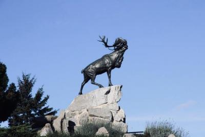  Newfoundland Memorial-Round Trip Transfer from Arras to Beaumont-Hamel