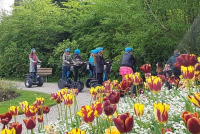 Segway ride in the Public Garden of Saint-Omer