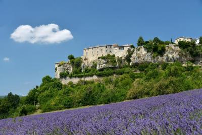 Provence Lavender Small Group Half-Day Trip Provence Lavender Small Group Half-Day Trip