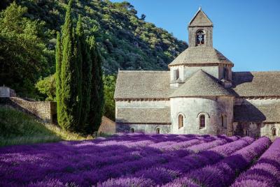 Lavender Beauty Small Group Half Day Tour from Avignon Lavender Beauty Small Group Half Day Tour from Avignon