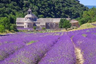 Small Group Provence and Lavender Museum Day Trip from Avignon