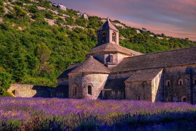 Lavender Route Small-Group Day Trip from Avignon Lavender Route Small-Group Day Trip from Avignon
