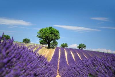 Provence Best Of Provence Best Of
