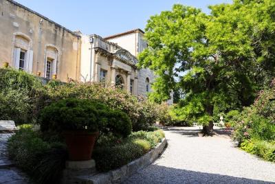 Absolutely Avignon gardens, history & cultural private guided tou Absolutely Avignon gardens, history & cultural private guided tou