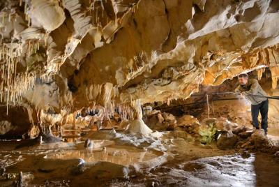 Skip the Line: Grotte de Thouzon Admission Ticket