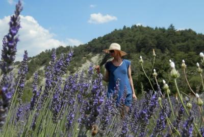 Private Guided Walking Tour in the Hills of Provence
