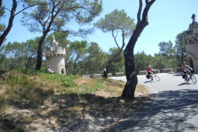 Private Guided Bike Tour Around Saint Rémy and the Provencal Countryside