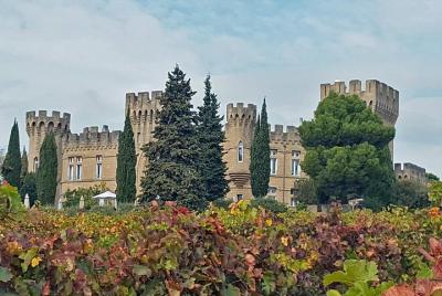 Private Full-Day Tour of Cotes du Rhone with Wine Tasting from Avignon