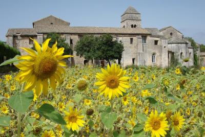 Private Provence Tour: In the Footsteps of Van Gogh