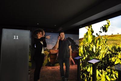 Entrance ticket to the Brotte Wine Museum with tasting of 3 wines