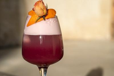 Cocktails and Mixology workshop in the Luberon