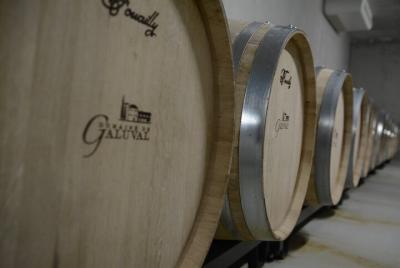 THE CUBE: Private Tour Of Semi-Gravity Cubist Cellar with Wine Tasting