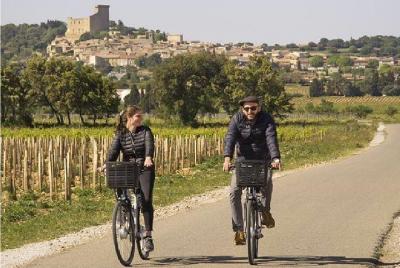 Half Day to visit around Châteauneuf-du-Pape Half Day to visit around Châteauneuf-du-Pape