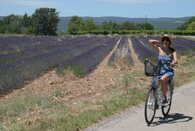 Half a day by electric bike to discover the Luberon Half a day by electric bike to discover the Luberon