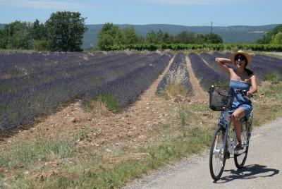 Luberon Electric Bike Rental from Bonnieux