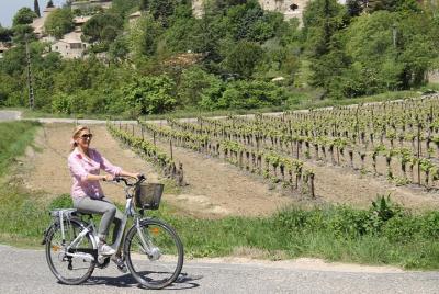 Provence and Wine Tasting by E-Bike from Bonnieux