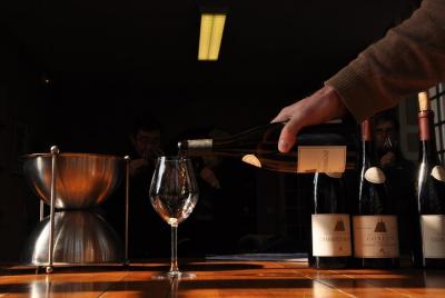 Full Day Private Tour with Tasting of 10 Grands Crus - The Best of Burgundy Full Day Private Tour with Tasting of 10 Grands Crus - The Best of Burgundy