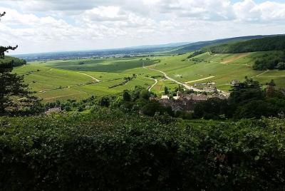 Full-day Private Burgundy Wine Route Tour from Beaune Full-day Private Burgundy Wine Route Tour from Beaune
