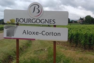 Burgundy Wine Lovers Tasting Tour with Private Driver Burgundy Wine Lovers Tasting Tour with Private Driver