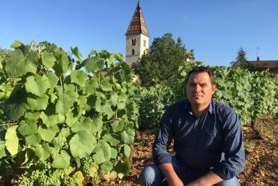 Wine Tourism Stay in Côte de Beaune Wine Tourism Stay in Côte de Beaune