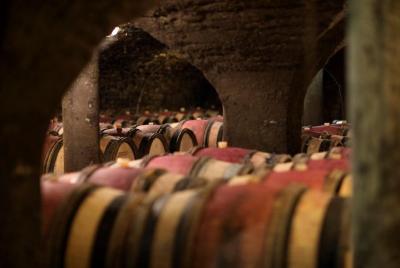 Visit of our XV° century cellars Visit of our XV° century cellars