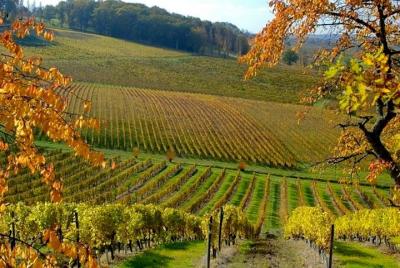 Private wine tour in Bergerac region by EXPLOREO  Private wine tour in Bergerac region by EXPLOREO