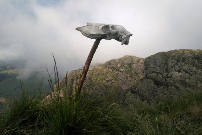 Mystique Tour - In the footsteps of witchcraft and smuggling in the Basque Country