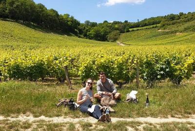 Wine Tour Loire Valley Wine Tour Loire Valley