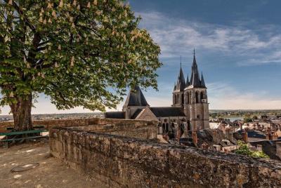 Fun walk in Blois - The heritage Fun walk in Blois - The heritage