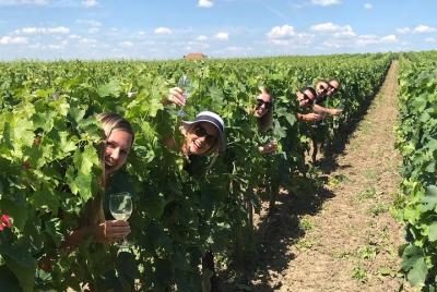 Medoc or St-Emilion Small-Group Wine Tasting and Chateaux Tour fr Medoc or St-Emilion Small-Group Wine Tasting and Chateaux Tour fr