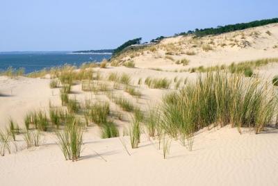 Dune du Pilat and Oysters Tasting in only 1 hour away from Bordea Dune du Pilat and Oysters Tasting in only 1 hour away from Bordea