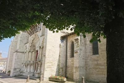 Half a day in Saint-Emilion on a private tour (Luxury Minivan) Half a day in Saint-Emilion on a private tour (Luxury Minivan)
