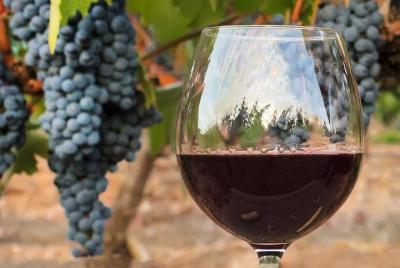 Medoc Region Wine Day Trip with Vineyard Visits & Tastings from Bordeaux