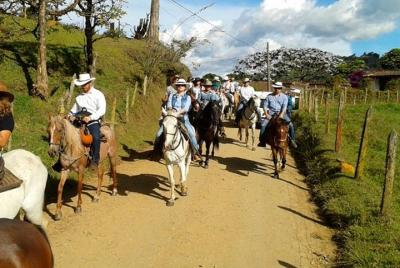  horseback tours