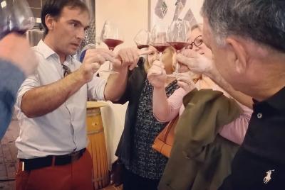 Private tour in Saint-Emilion - visit of the cellars and tasting of Crus Classés Private tour in Saint-Emilion - visit of the cellars and tasting of Crus Classés