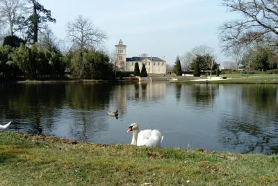 Discovery day of the Médoc classified wines - private tour Discovery day of the Médoc classified wines - private tour
