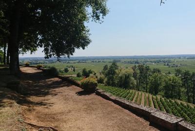 A day in Saint-Émilion and its Châteaux in a private tour (Van Luxe) A day in Saint-Émilion and its Châteaux in a private tour (Van Luxe)