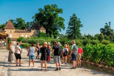 Bordeaux Vineyards Wine Tasting Half-Day Trip Bordeaux Vineyards Wine Tasting Half-Day Trip