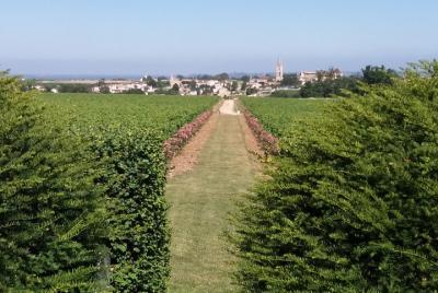 Morning & Breakfast Wine tour in Saint-Emilion 