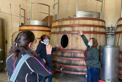 Saint-Emilion Small Group Morning Tour with Winery Visit and Tasting