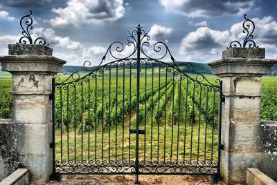 Saint Emilion Half-Day Trip with Wine Tasting & Winery Visit from Saint Emilion Half-Day Trip with Wine Tasting & Winery Visit from
