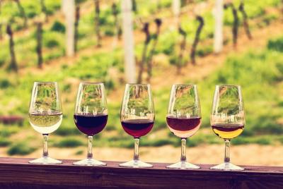 Médoc Region Half-Day Wine Tour with Winery Visit & Tastings from Bordeaux Médoc Region Half-Day Wine Tour with Winery Visit & Tastings from Bordeaux