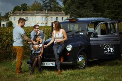 Médoc Region Local Castle Visits Day Trip with Wine Tasting from Bordeaux