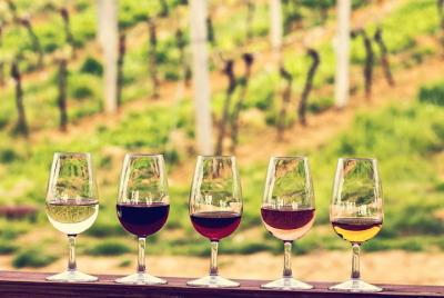 Private Half Day Wine Tour from Bordeaux Private Half Day Wine Tour from Bordeaux