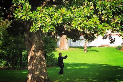 Tai Chi Chuan and Qi Gong session at the Botanical Garden