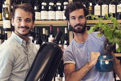 Discover Bordeaux vineyard : special wine tasting with two cellar Discover Bordeaux vineyard : special wine tasting with two cellar