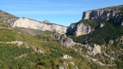 Provence Countryside Tour: Inland Day Trip from Cannes (Grasse,St Paul de Vence) Provence Countryside Tour: Inland Day Trip from Cannes (Grasse,St Paul de Vence)