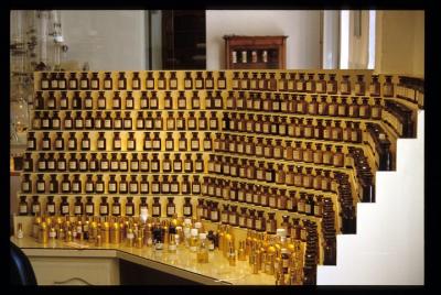 In the secret of perfumes and flowers-private tour full day- In the secret of perfumes and flowers-private tour full day-