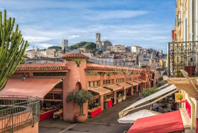 Half-day excursion: Natural discovery of Cannes Half-day excursion: Natural discovery of Cannes