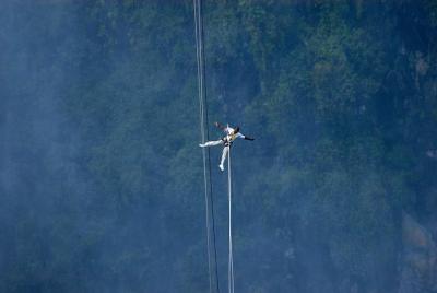 Flying Fox Flying Fox